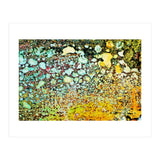 Sage (Print Only) thumbnail