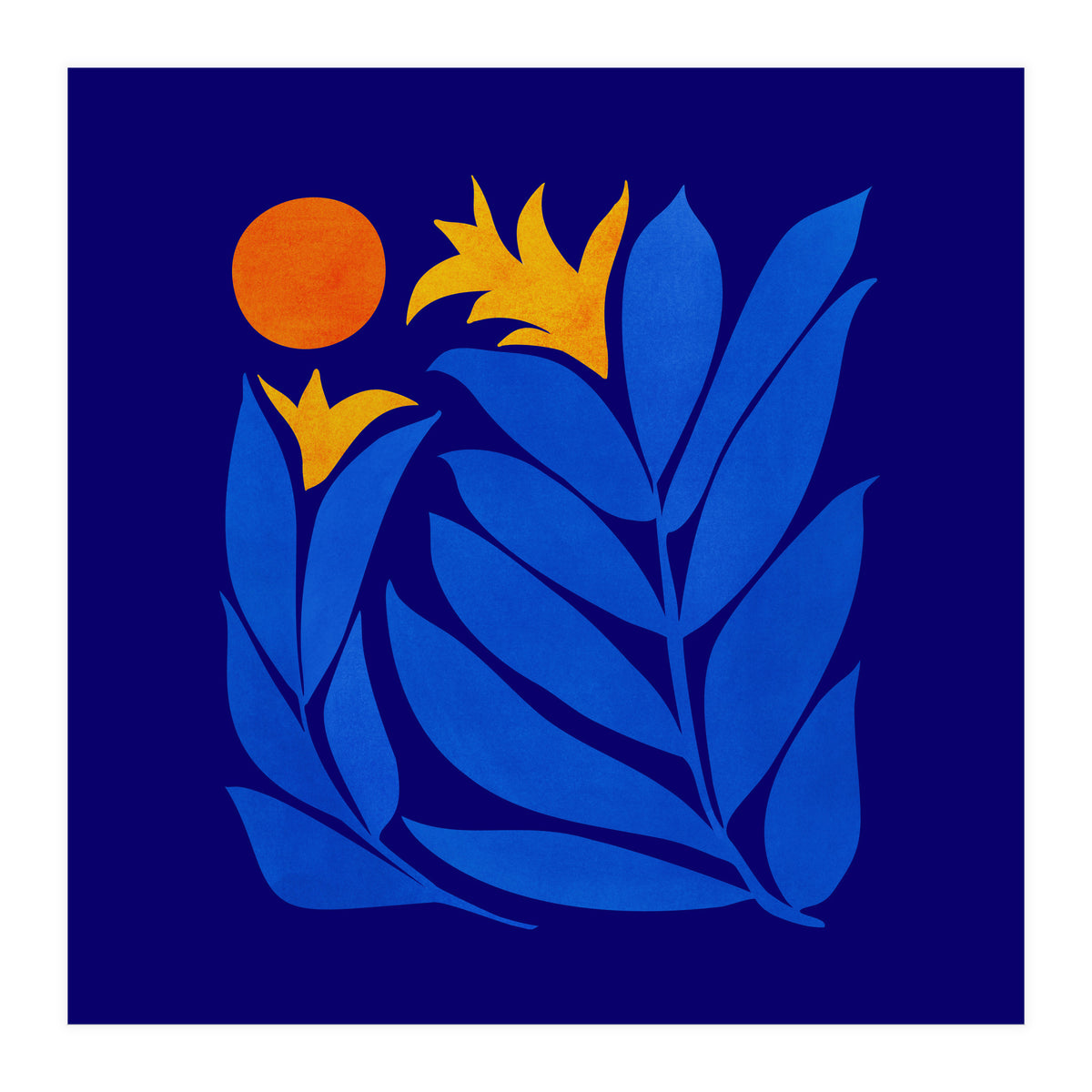 Community Garden At Night (Print Only)