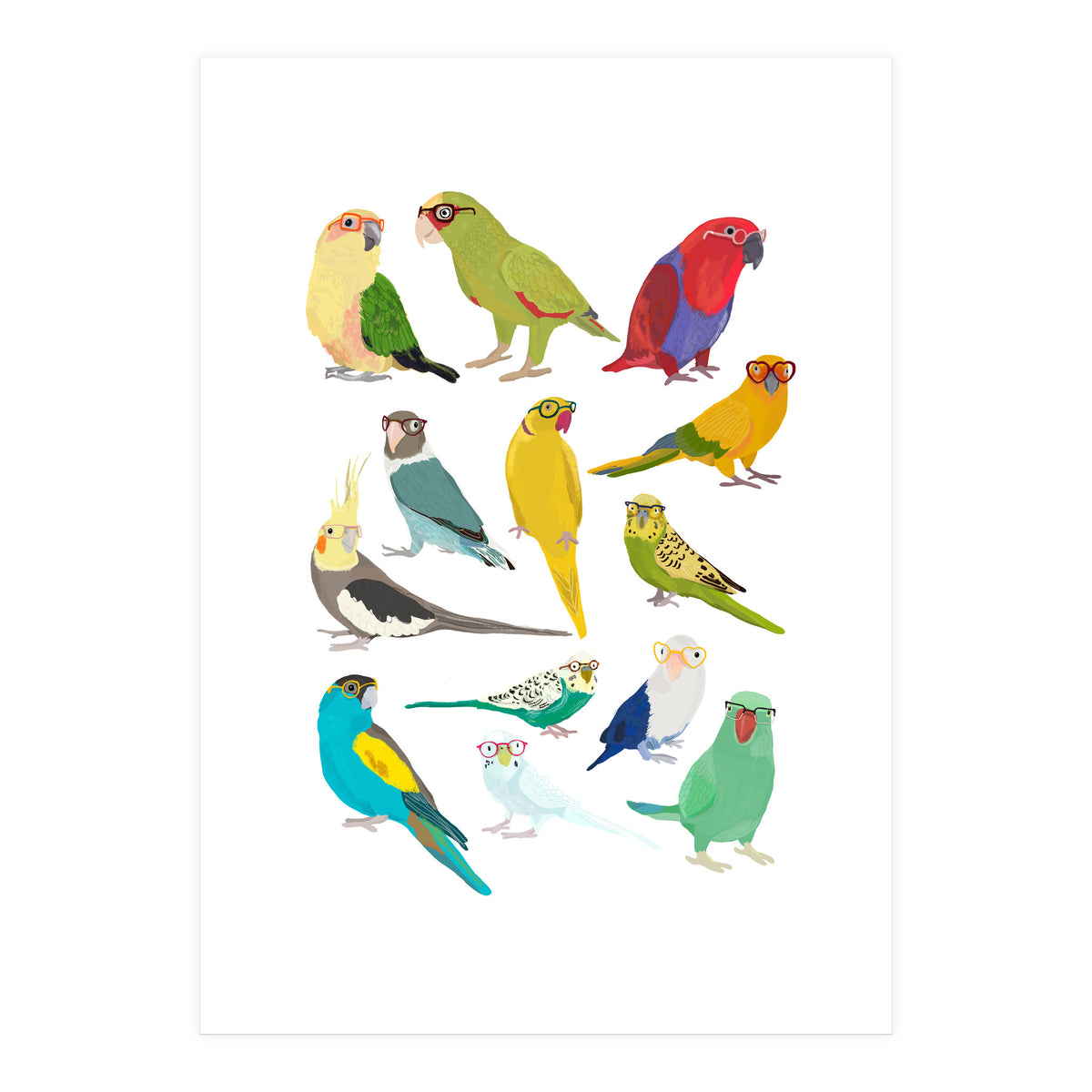 Parrotts in Glasses (Print Only)