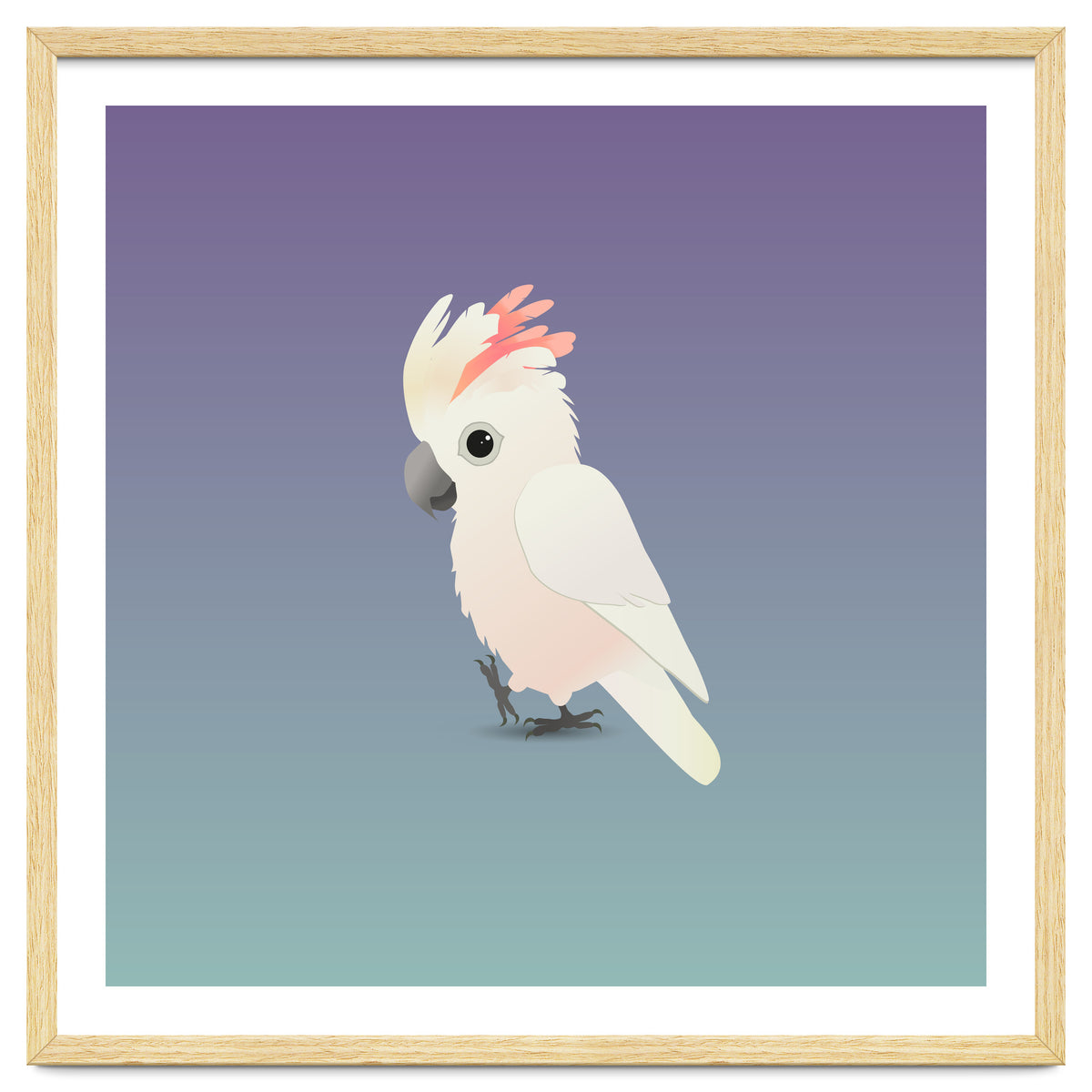 Salmon-crested cockatoo