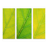 Autumn Leaves (Print Only) thumbnail