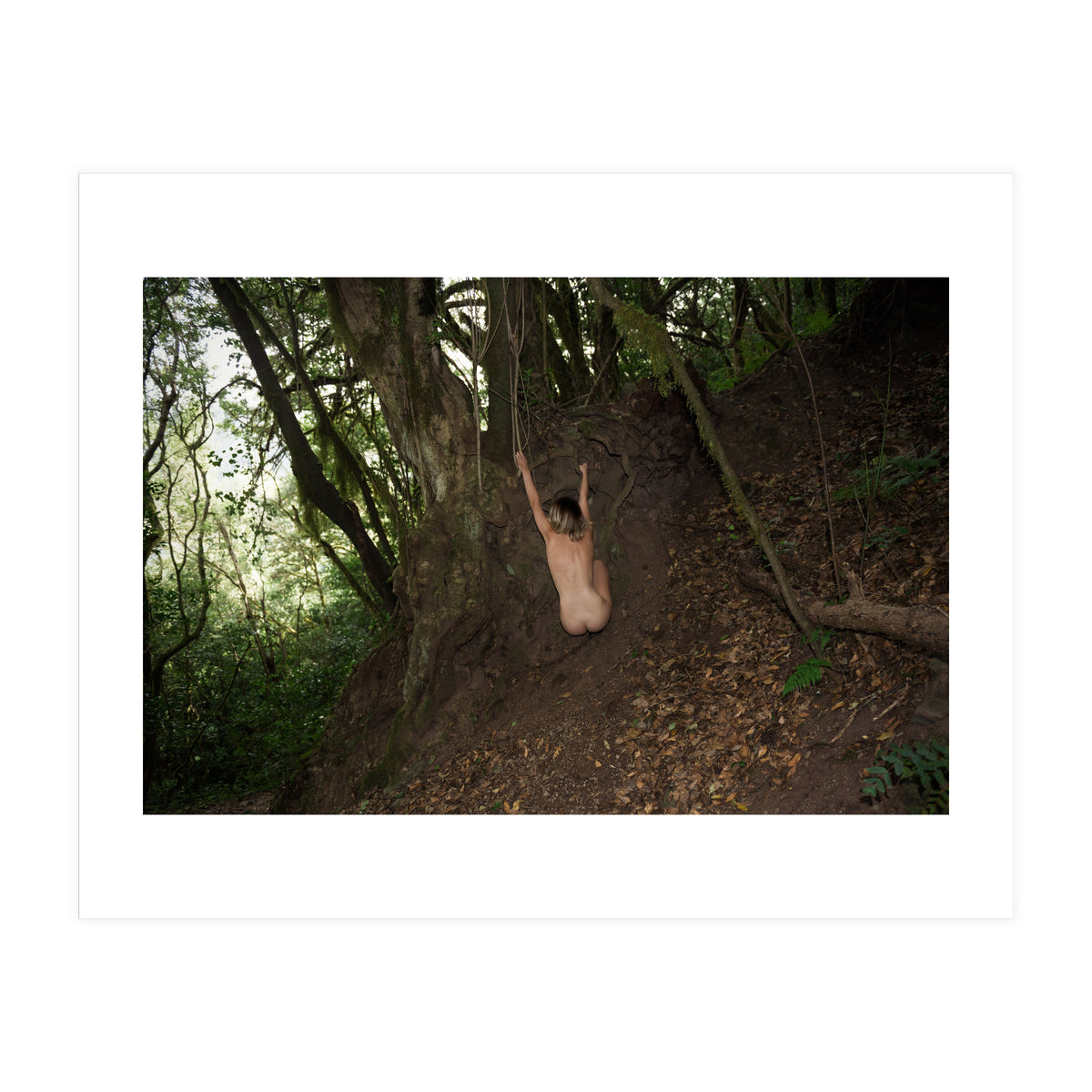 The kids Are all Wild (Print Only)