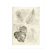 Plants (Print Only)