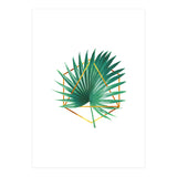 Tropical Palm Leaf 01 (Print Only) thumbnail