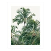 Lush Palm Trees (Print Only)