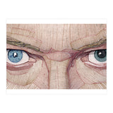 David Bowie Eyes (Print Only) thumbnail
