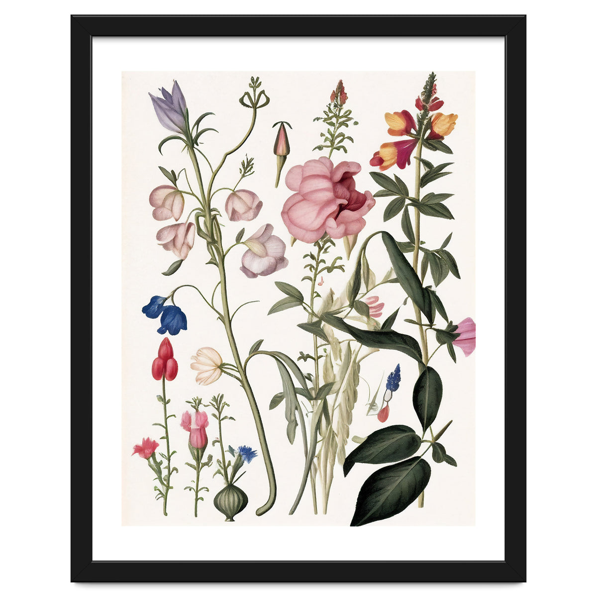 Flowers Botanical Vintage Illustration