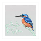 The kingfisher (Print Only) thumbnail