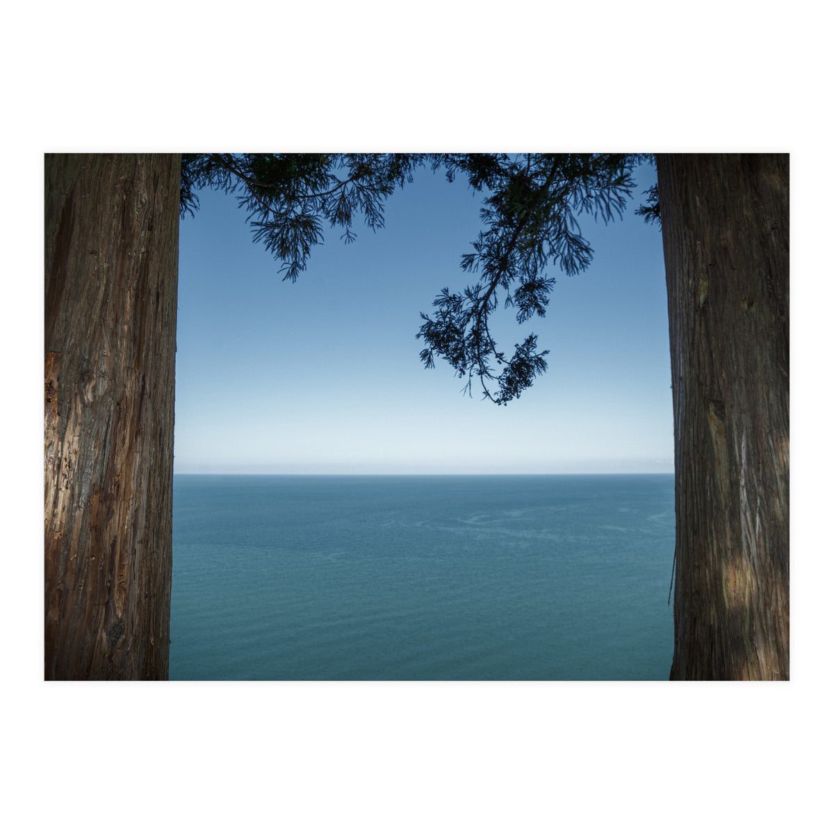 Picture Postcard Perfect (Print Only)