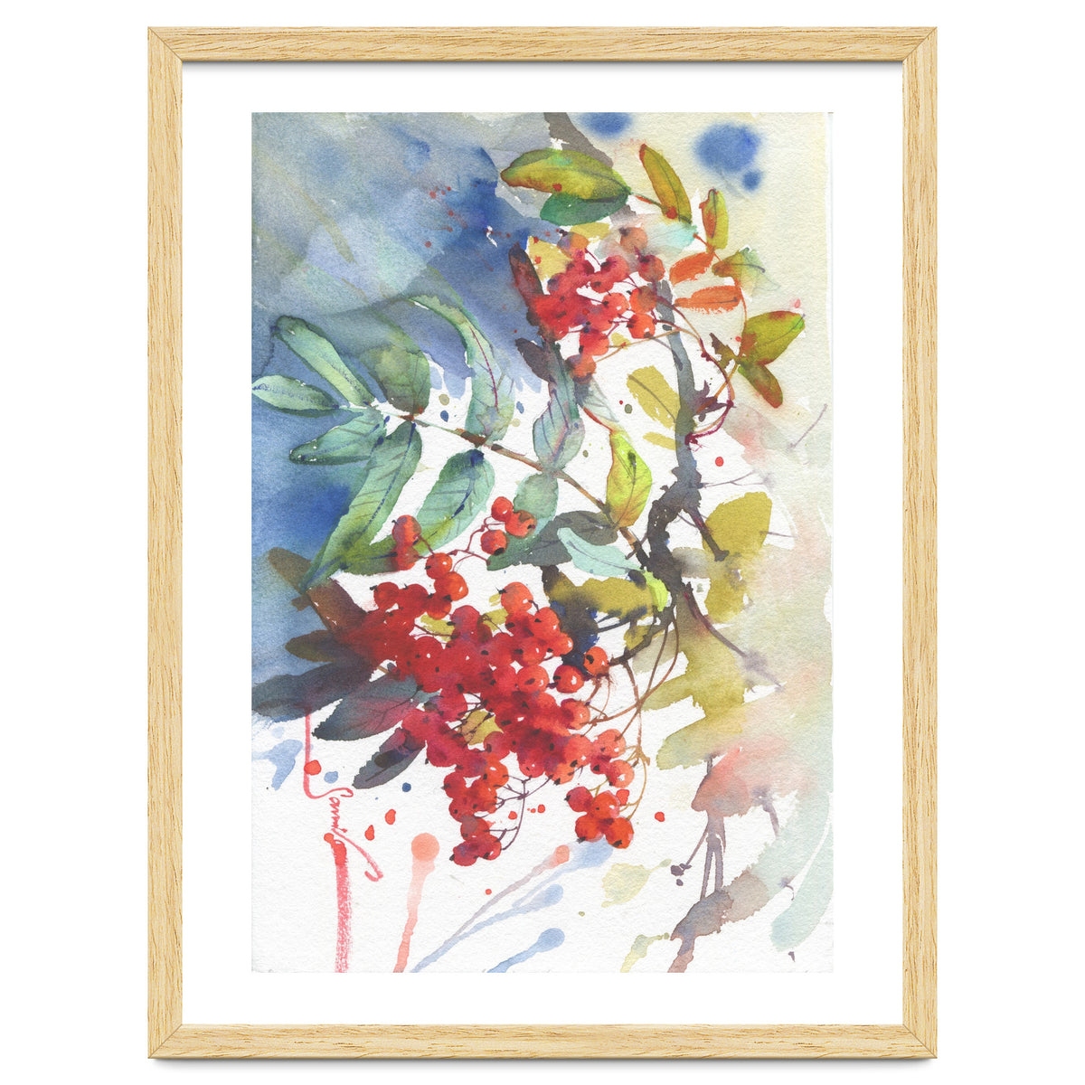 Viburnum / Guelder rose