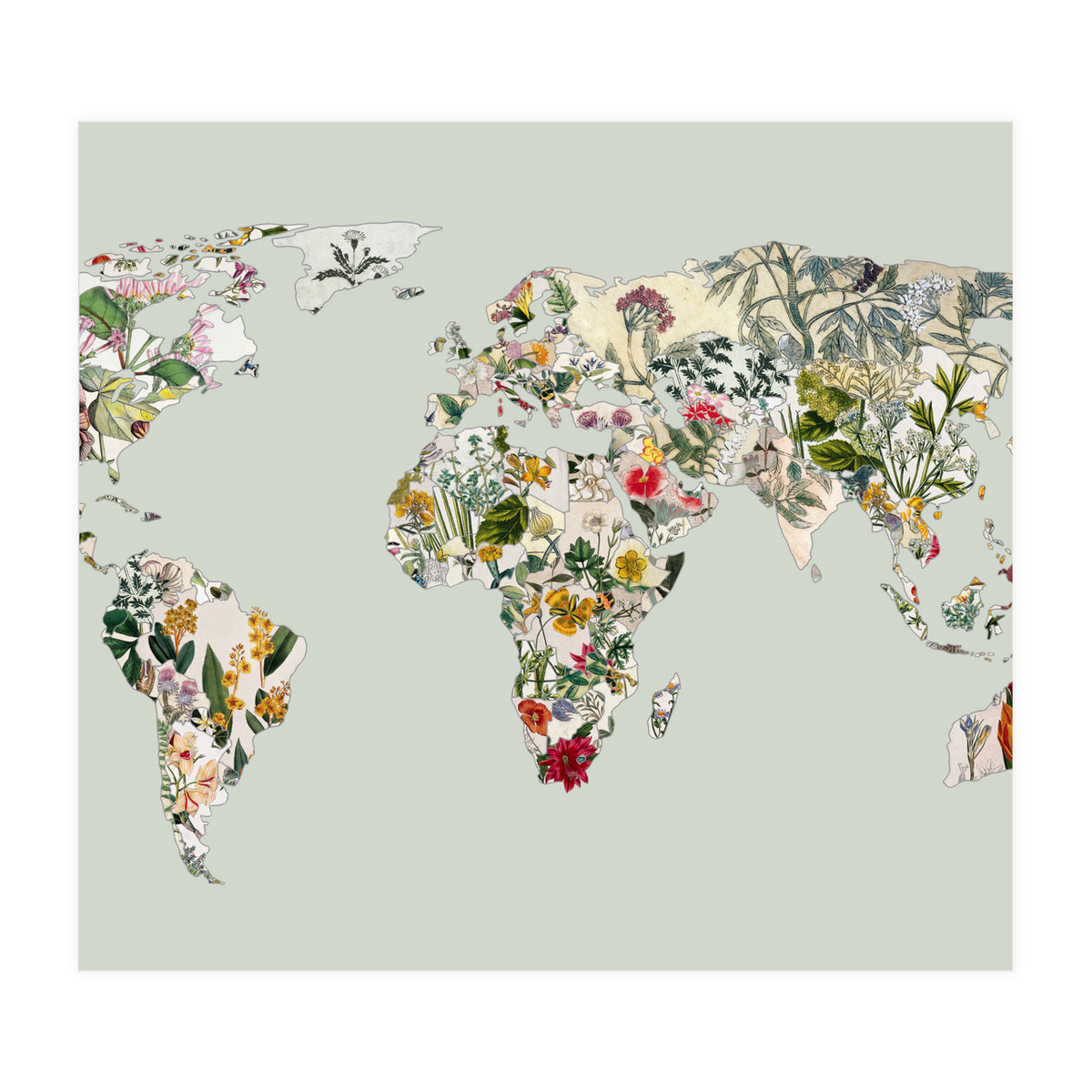 Vintage Botanical Map - Green (Print Only)