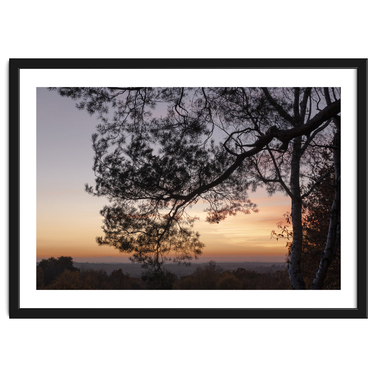 Sunset on Finchampstead Ridges - Berkshire