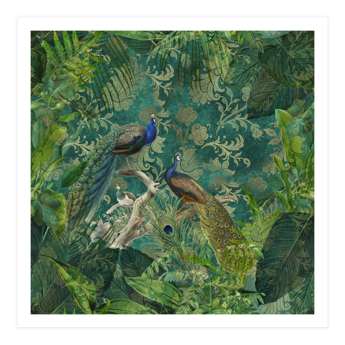 Mystic Peacocks (Print Only)