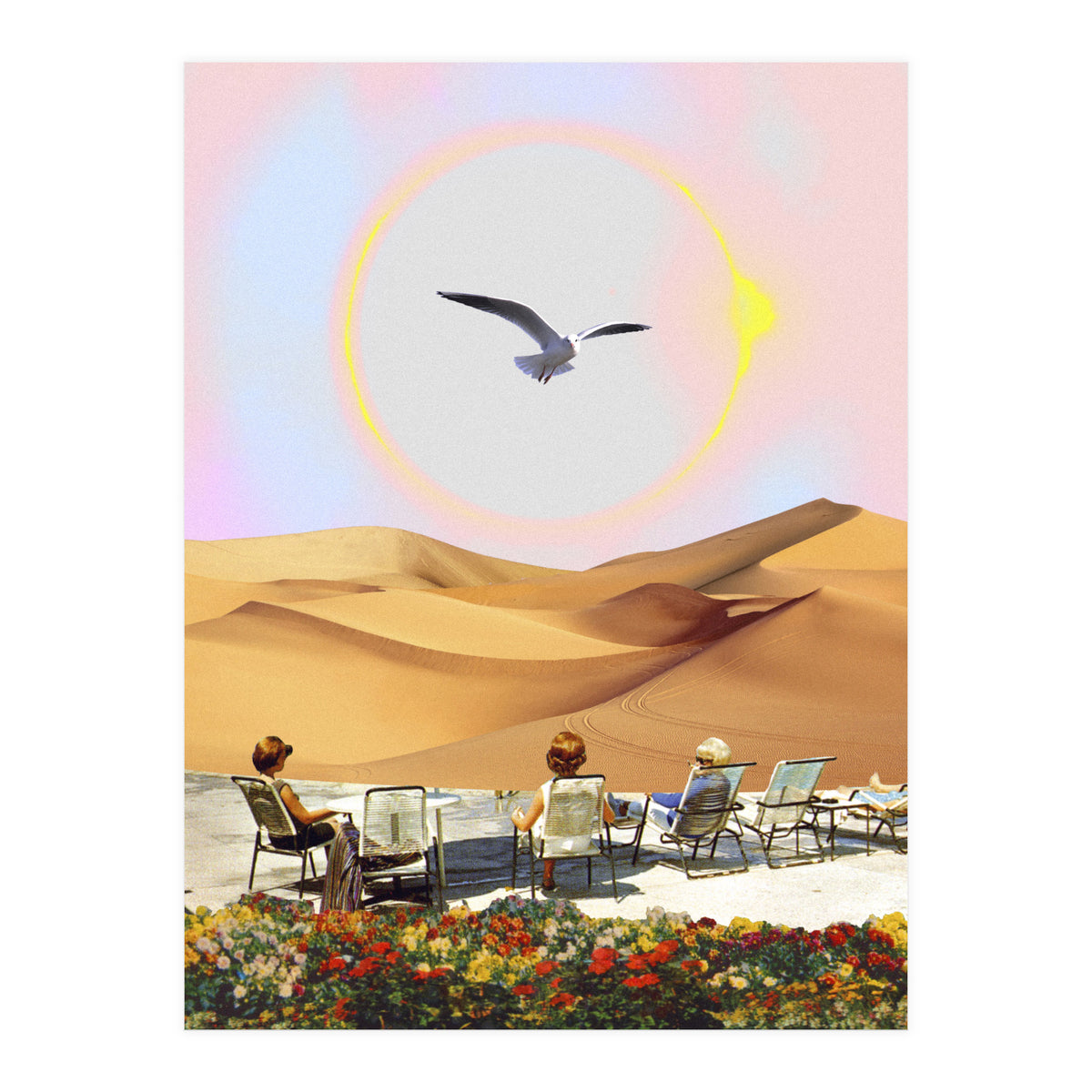 Birdwatching 2.0. (Print Only)