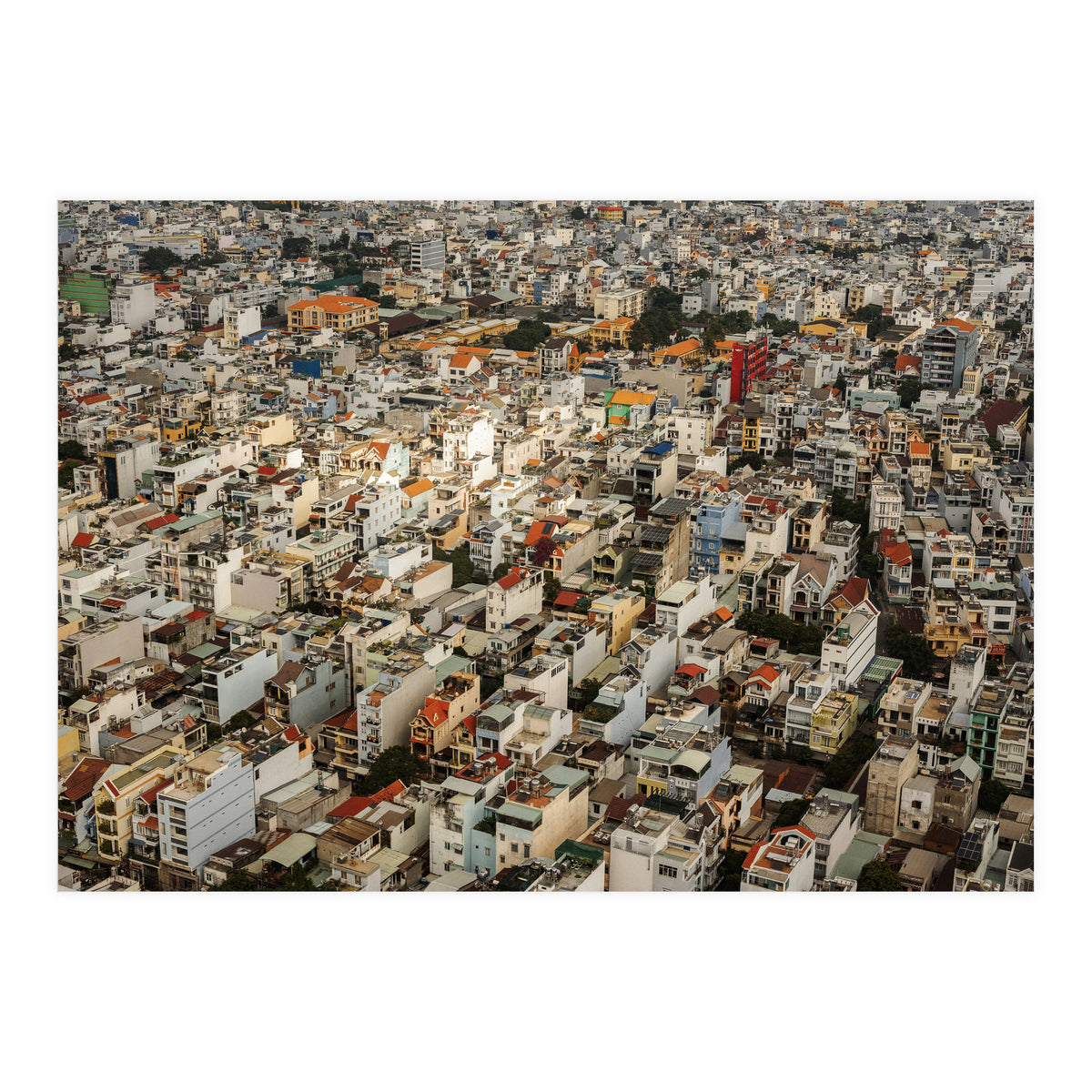 Concrete Jungle (Print Only)