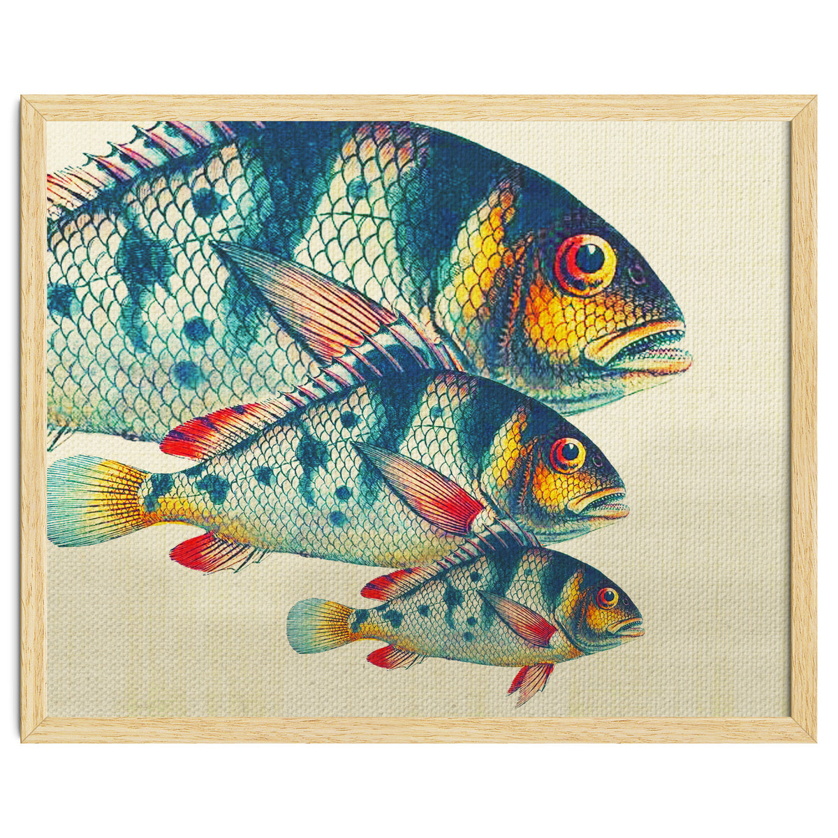 Fish Classic Designs 3