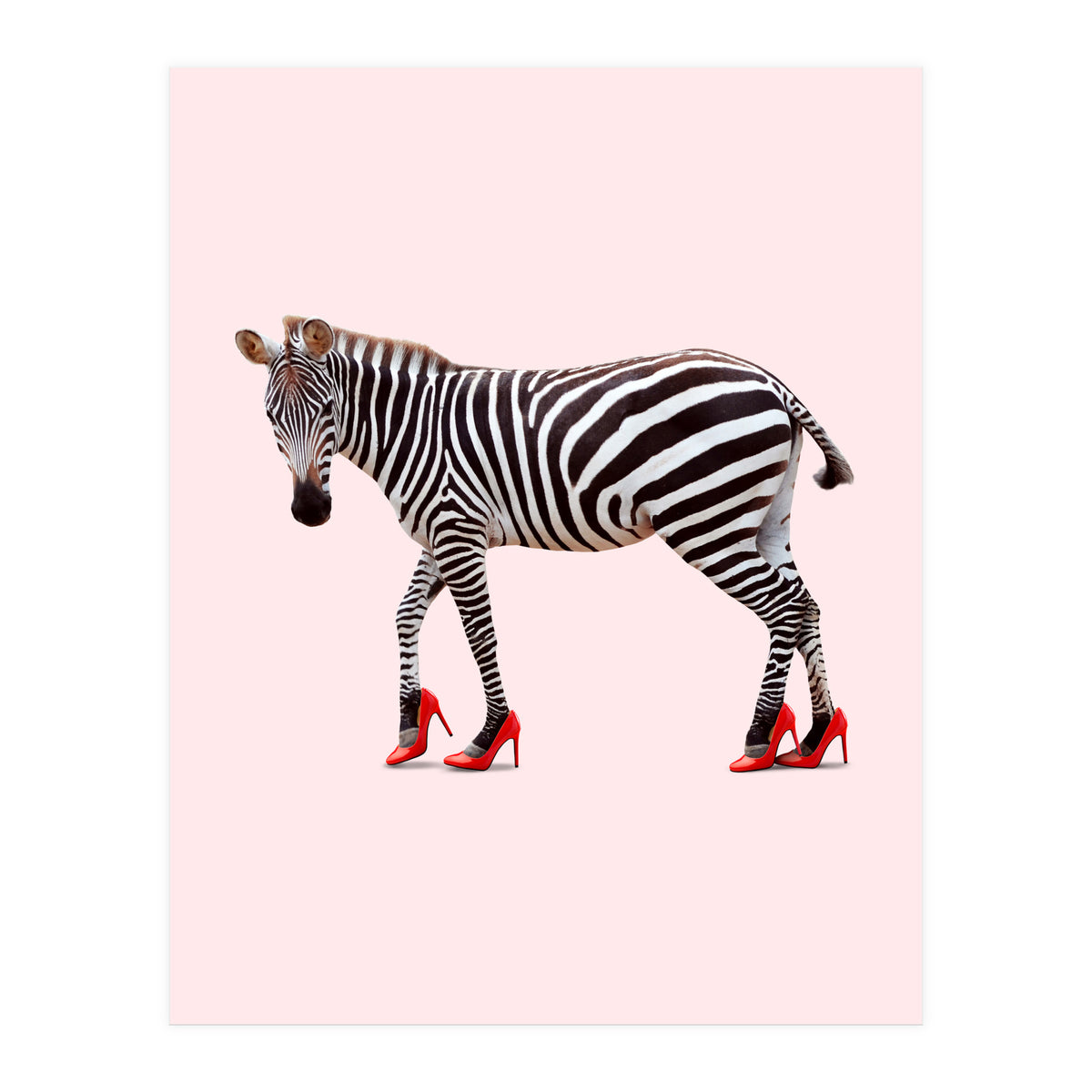 Zebra Heels (Print Only)