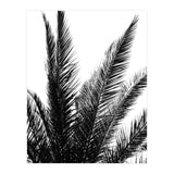 Black and White (Print Only) thumbnail