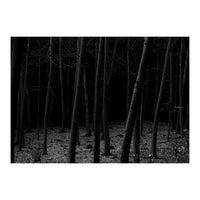 silent woods (Print Only)