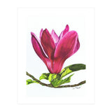 Single Magnolia (Print Only) thumbnail