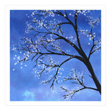 Tree in bloom  (Print Only) thumbnail