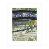 Summeya (Print Only) thumbnail