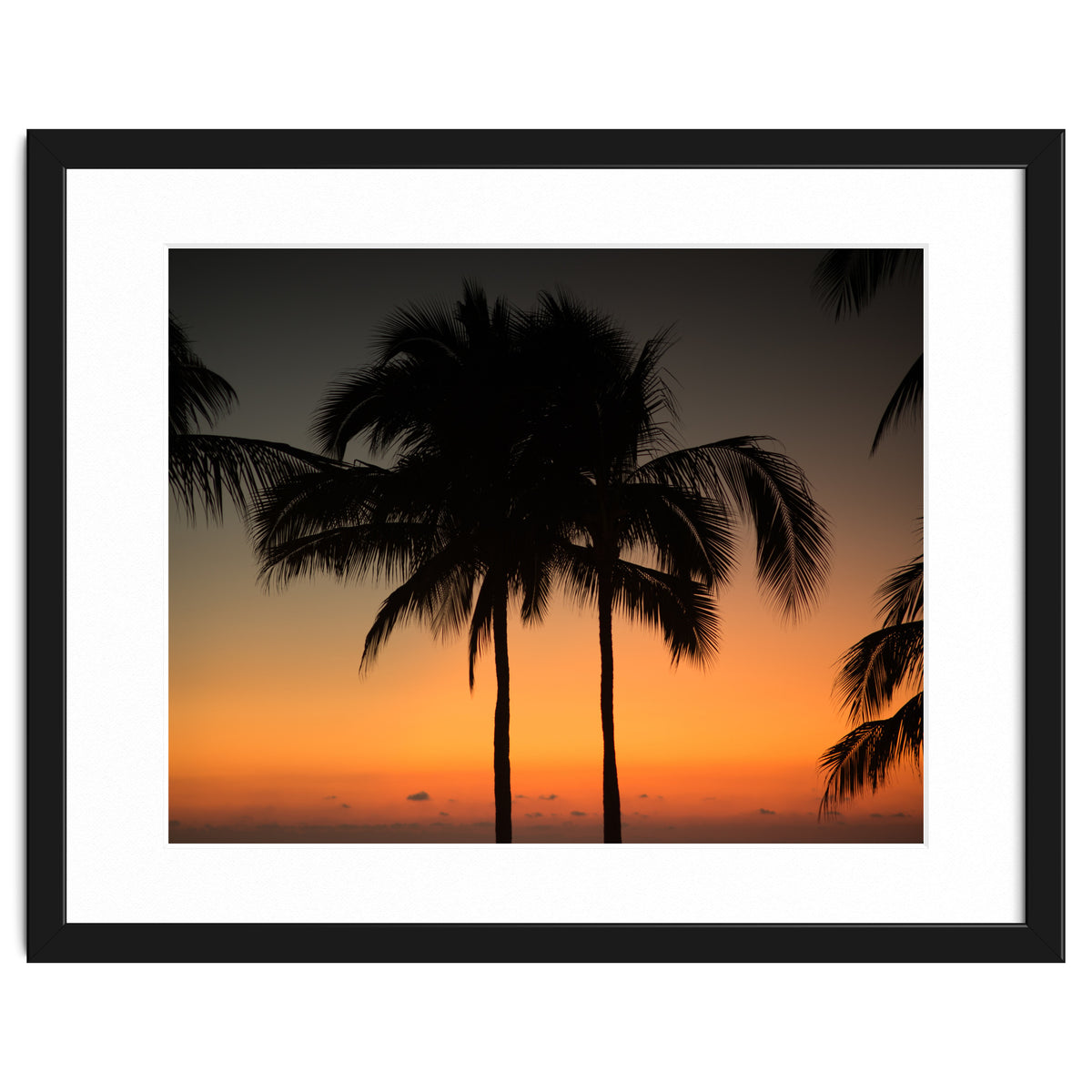 Mexico, November nights