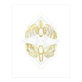 Polillas - Gold (Print Only) thumbnail