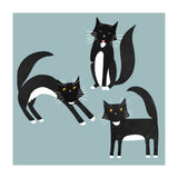Black and White Tuxedo Cats (Print Only) thumbnail