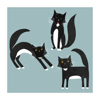 Black and White Tuxedo Cats (Print Only)