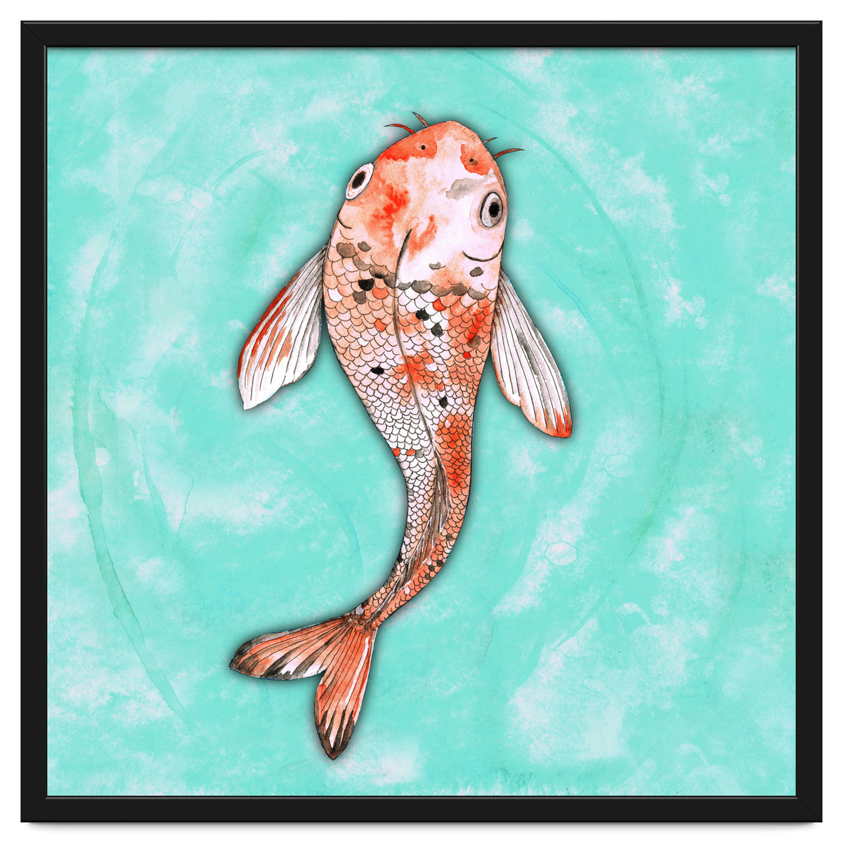 Koi fish