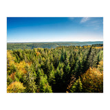 Black In Color (Print Only) thumbnail