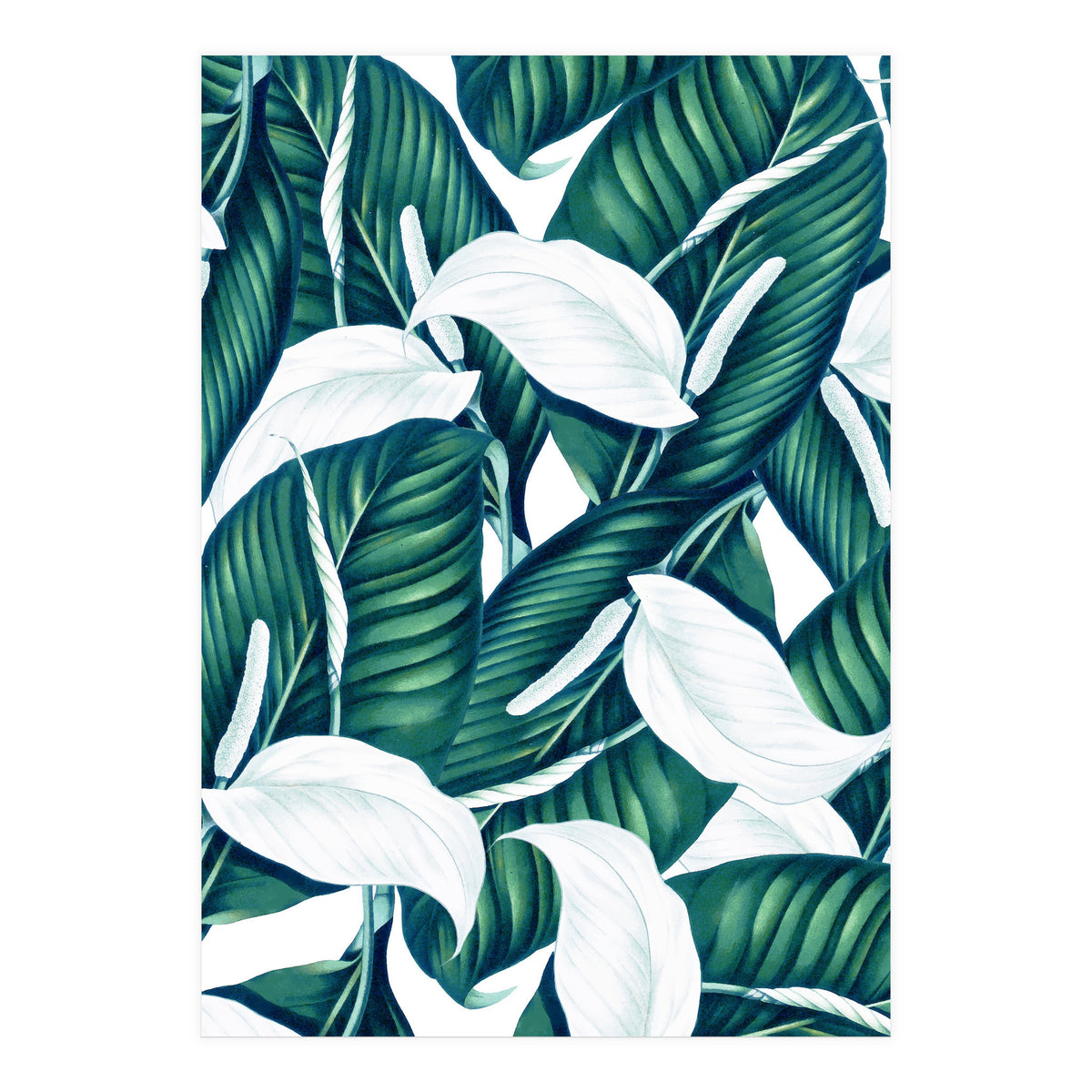 Tropical Winter (Print Only)