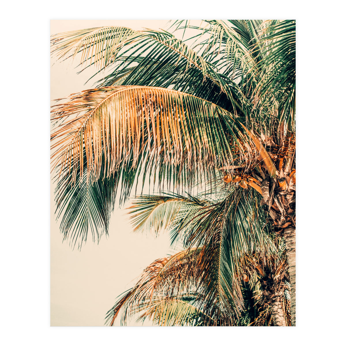 Tropic Summer  (Print Only)