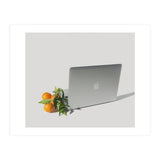 Fruit Salad (Print Only) thumbnail