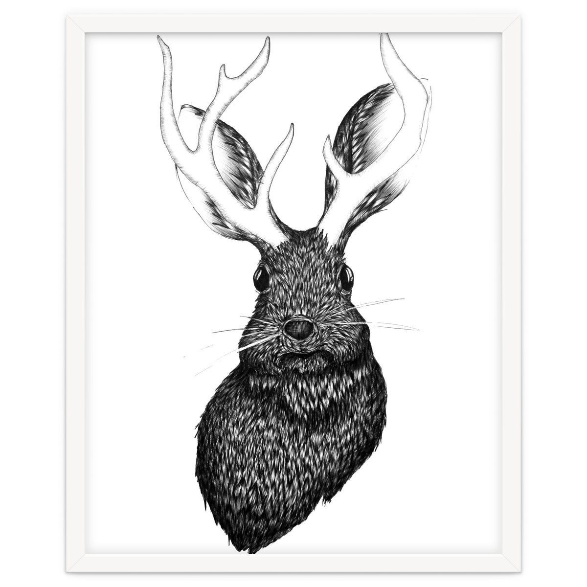 Jackalope