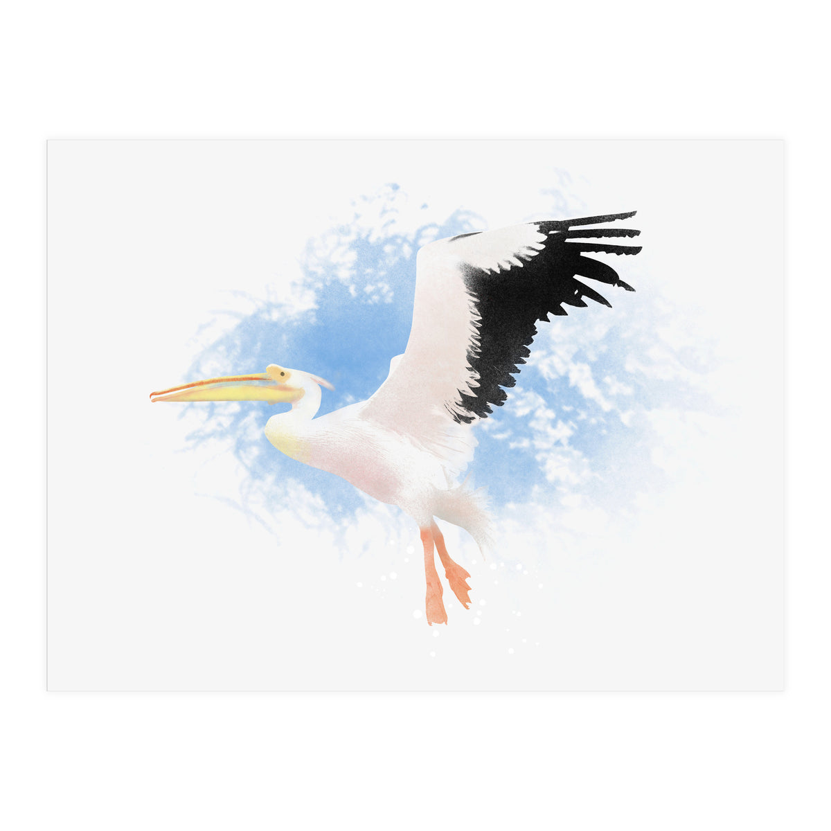 Pelican (Print Only)