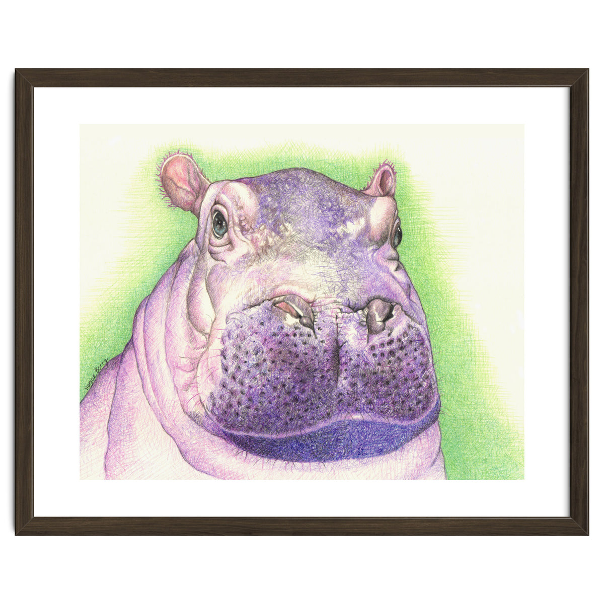 Purple Hippo
