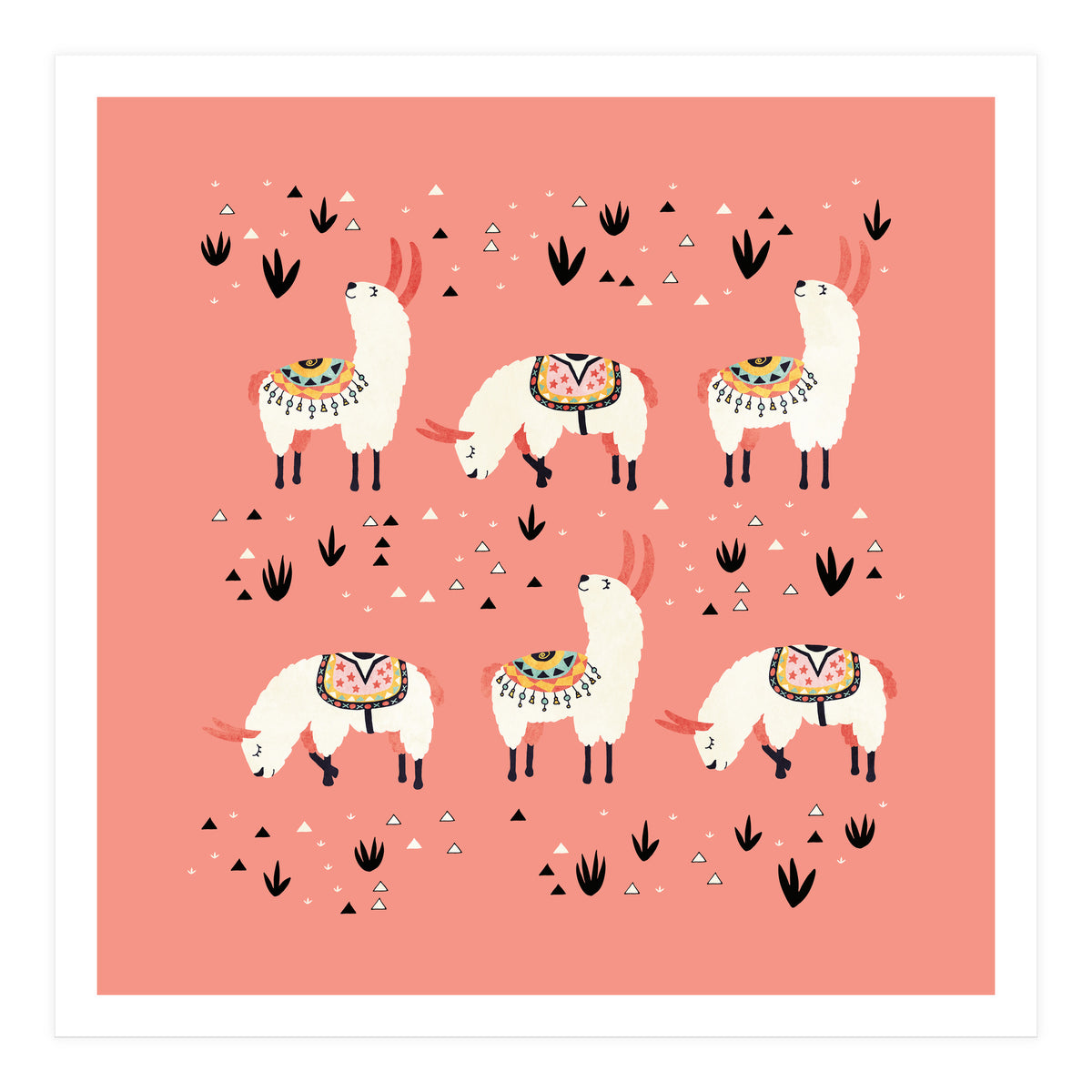 White Llamas In Pink Desert (Print Only)