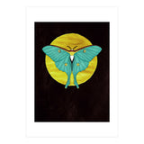 Luna Moth Moon (Print Only) thumbnail