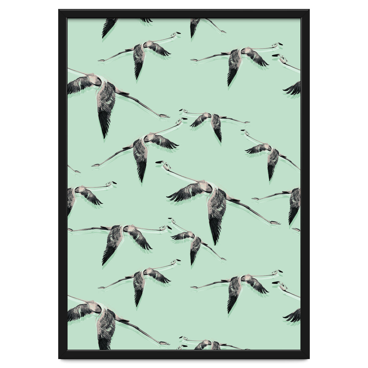 Flight of flamingos