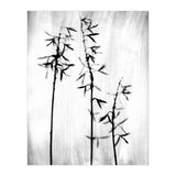 Hosta 3 (Print Only) thumbnail