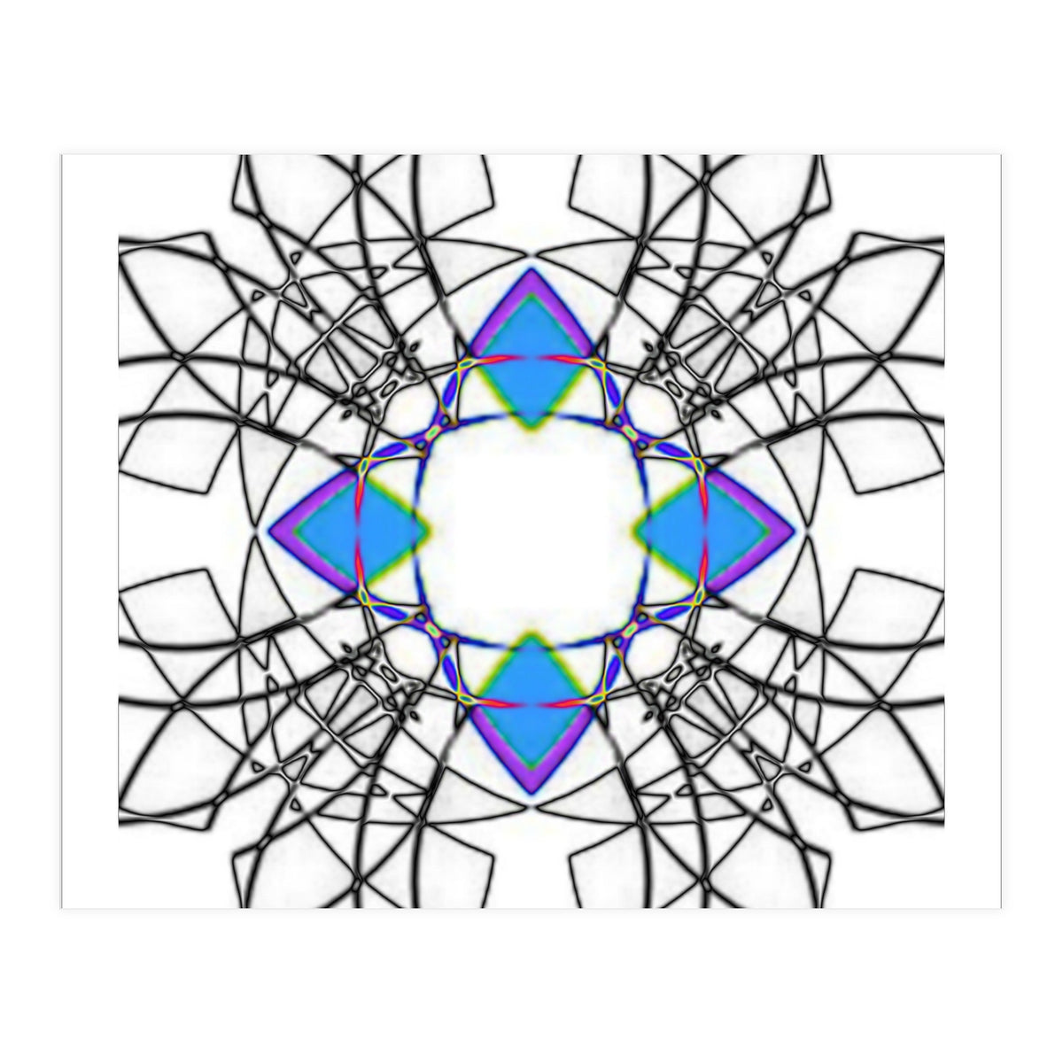 fiori.6 (Print Only)