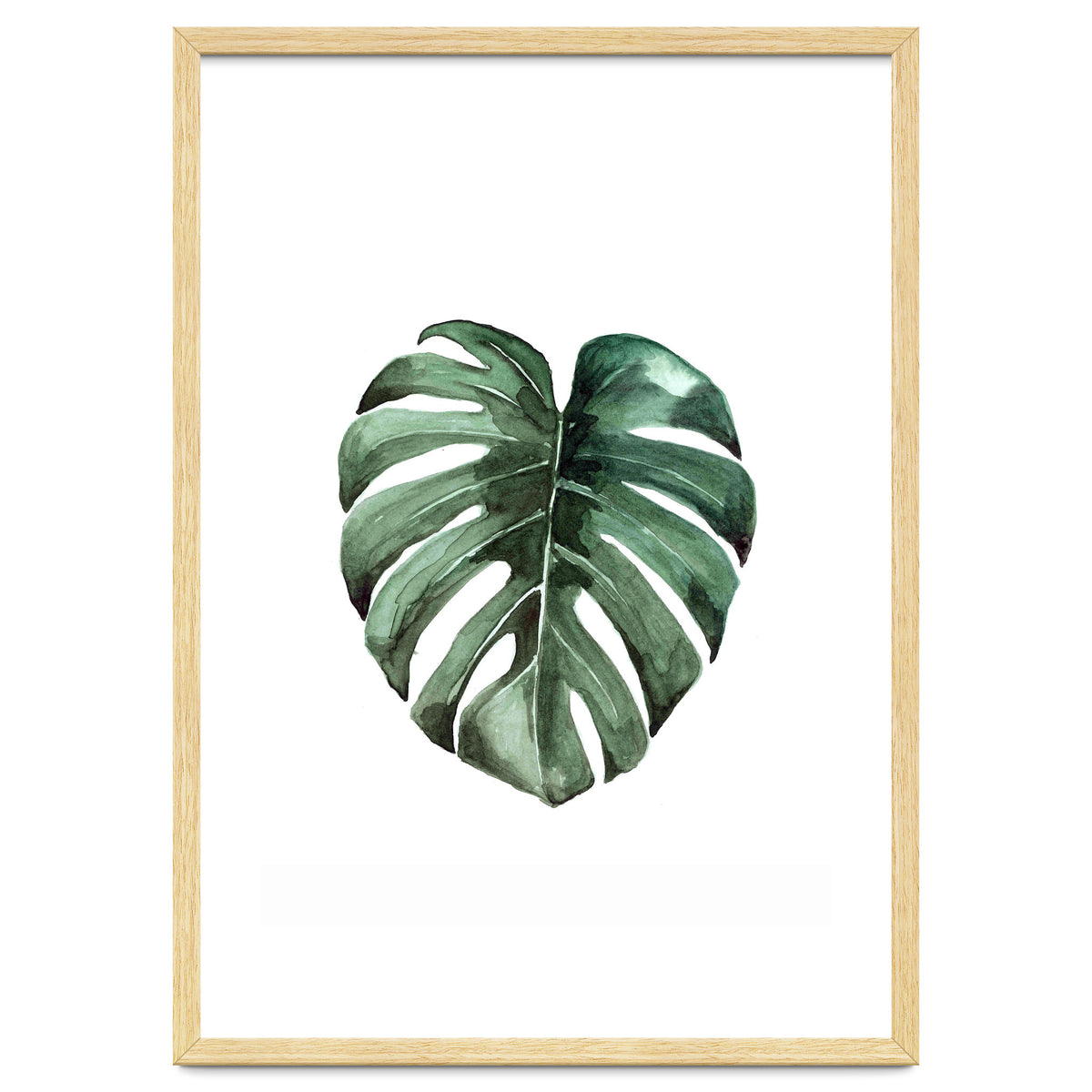 Botanical Illustration Monstera Deliciosa