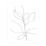 Seven Leaf Plant (Print Only) thumbnail