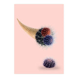 Cactus Cream 50x70 (Print Only) thumbnail