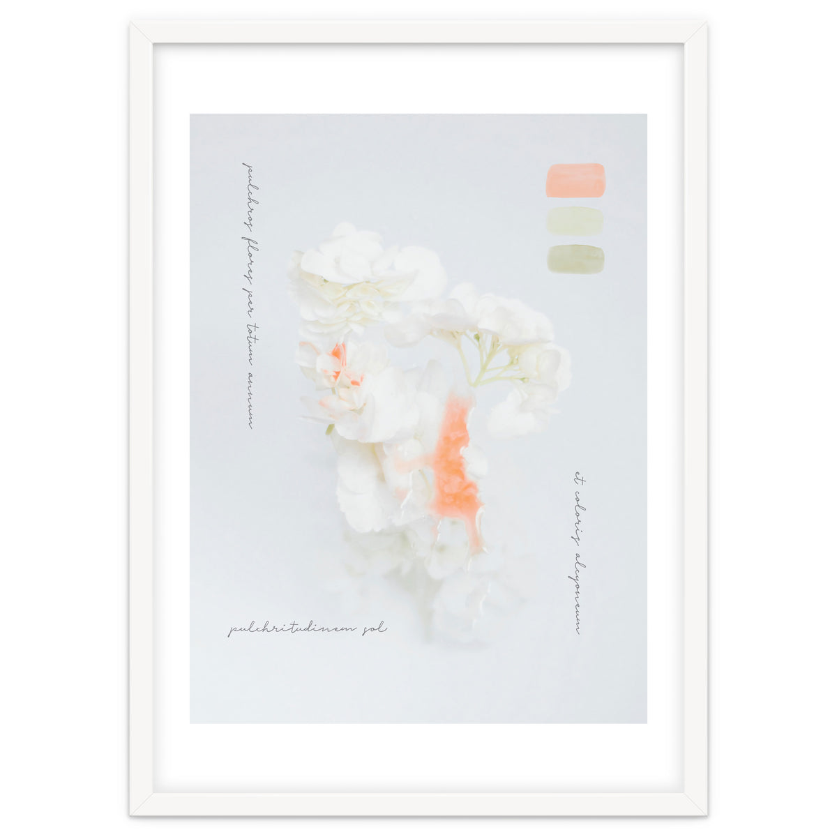 Modern Vintage Botanic