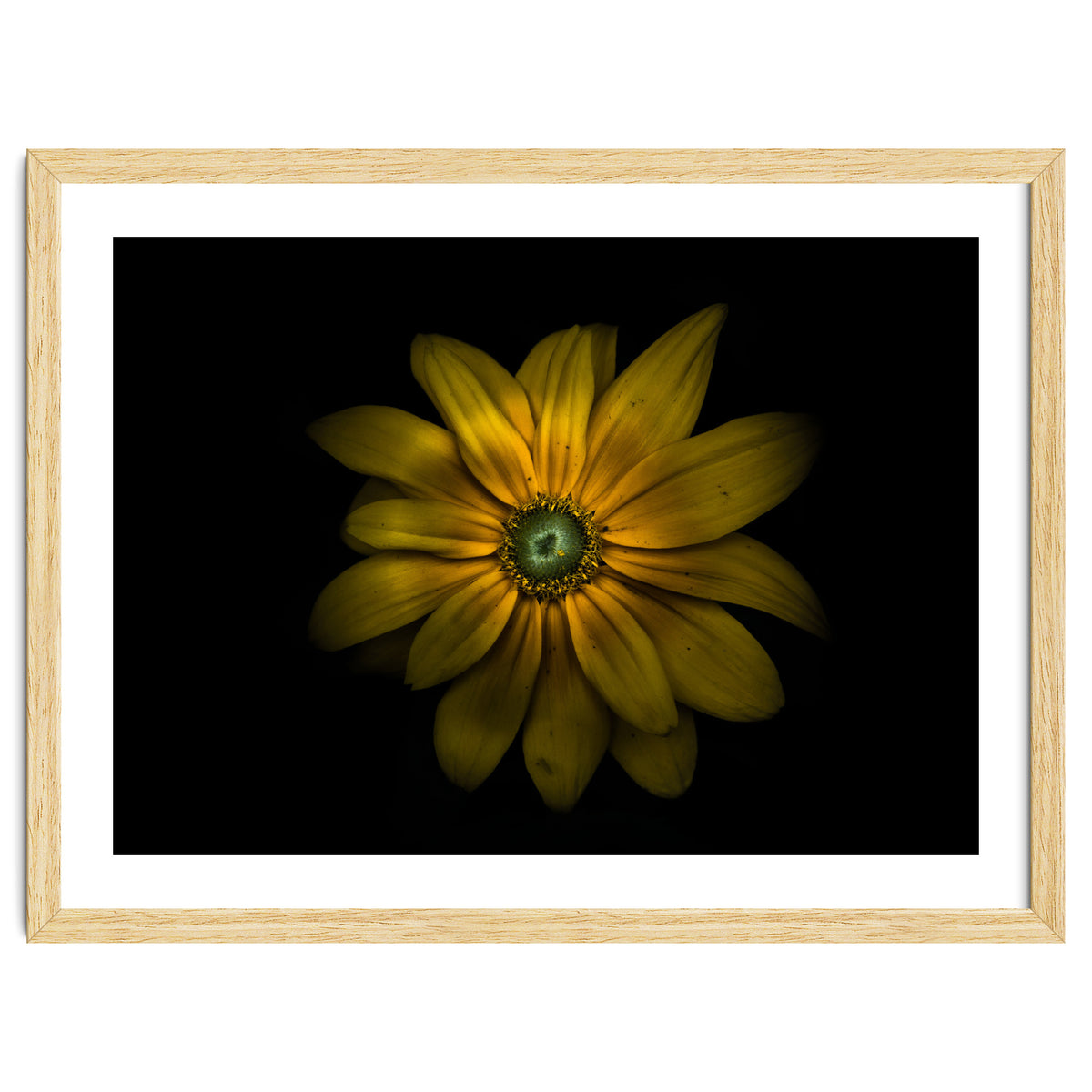 Backyard Flowers No 34 Color Version