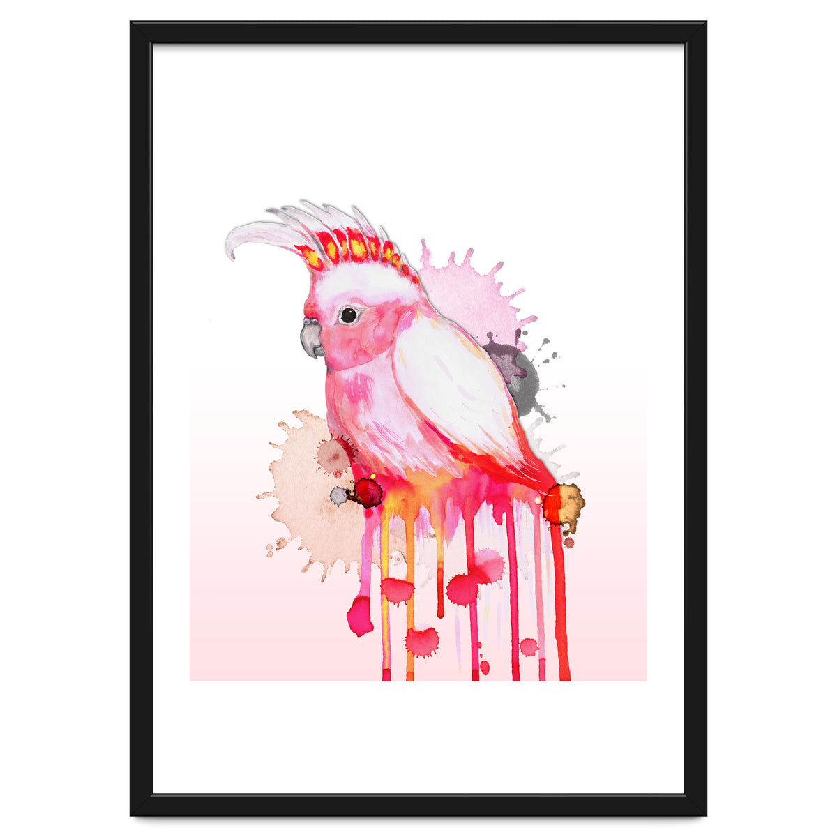 Major Mitchell's cockatoo