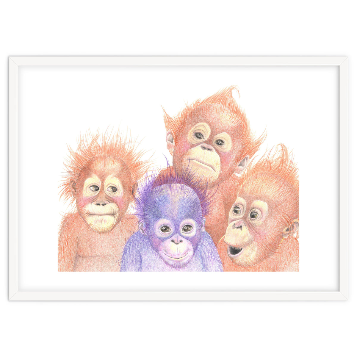 Orangutan Babies